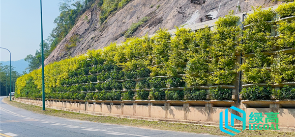 廣東省首例裝配式生態(tài)擋墻項目落地！
